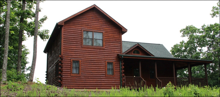 Professional Log Home Borate Application  James City County, Virginia